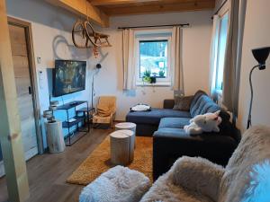 a living room with a couch and a tv at Chalupa pod Bínovem in Smržovka