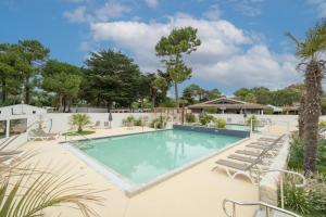 a swimming pool with lounge chairs and a palm tree at Hôtel Les Grenettes in Sainte-Marie-de-Ré