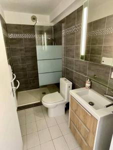 a bathroom with a toilet and a sink and a shower at appartement lumineux spacieux in Ferney-Voltaire +4 photos