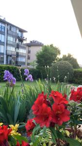 Сад в Aloka rooms Sopela