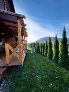 a porch of a house with a row of christmas trees at DOMKI POD CHMURKĄ in Solina