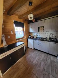 a large kitchen with wooden walls and wooden floors at DOMKI POD CHMURKĄ in Solina