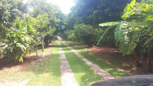 a path through a garden with trees and grass at Flor de Jabuticabeira in Jaguariúna