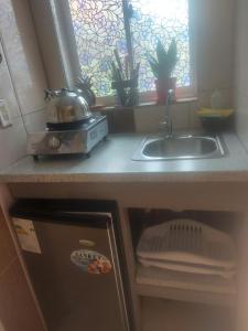 a kitchen counter with a sink and a window at Terrakota Apartments in Willemstad