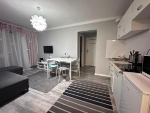 Kuchyň nebo kuchyňský kout v ubytování Centrum Pańska3 Apartment PARKING