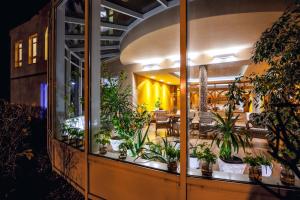Ogród w obiekcie Hotel BERLINER