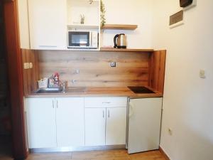 Kuchyň nebo kuchyňský kout v ubytování Apartments Bili