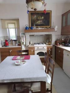 Dapur atau dapur kecil di Nizzy House VILLA TAŞ EV