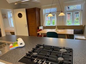 Kuchyň nebo kuchyňský kout v ubytování Doras Hus + 17 fotografií