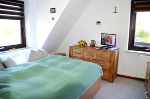 a bedroom with a bed and a television on a dresser at Wiesenweg - Wohnung 06 in Wyk auf Föhr