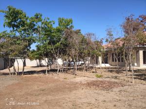 Φωτογραφία από το άλμπουμ του Silver Moon σε Harare