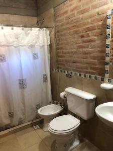 a bathroom with a toilet and a shower and a sink at Complejo La Morena in Mina Clavero