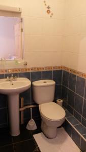 a bathroom with a toilet and a sink at Ashwood Hotel in Preston