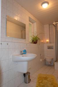 La salle de bains est pourvue d'un lavabo et de toilettes. dans l'établissement Im Kuckucksnest, à Chemnitz