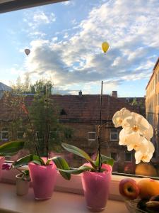 a window with three pink vases with flowers and balloons at Algirdo Apartments, Self Check-in, Free Private Parking in Vilnius