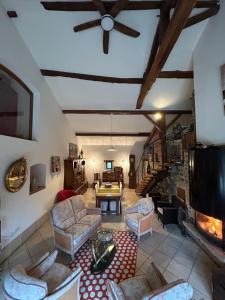 salon z wentylatorem sufitowym i kominkiem w obiekcie La maison de Brigitte aux petites avaizes w mieście Châteauneuf