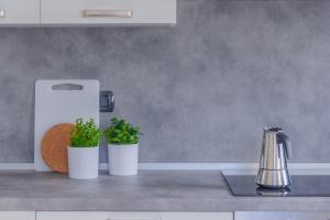 three plants in white pots on a kitchen counter at Sweet Caroline in Lierna