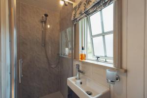 baño con lavabo y ducha con ventana en Shepherd's Hut - Jasmine, en Haverfordwest