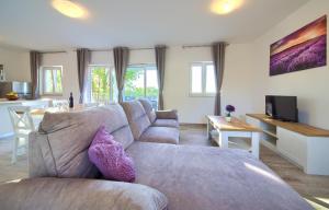 Televiisor ja/või meelelahutuskeskus majutusasutuses Holiday home Elena with pool