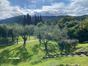 a group of trees in a field with a road at Holiday home Punta D'Oro with garden, parking place and lake access at 300 m in Iseo