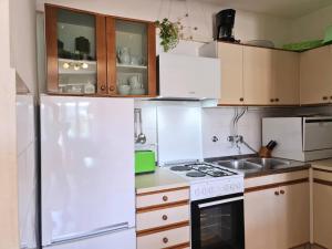 Kuchyň nebo kuchyňský kout v ubytování Apartments Citkovic