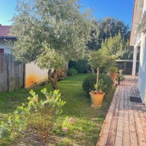 a garden with trees and plants in a yard at Chambres d'Hôtes d'Aliénor in Soulac-sur-Mer +13 photos