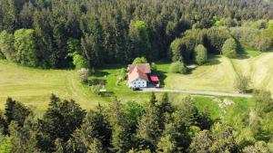 an aerial view of a house on a hill with trees at Ferienhaus Ramersdorf in Kollnburg