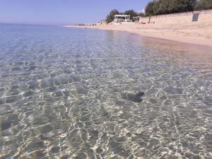 a body of water with a sandy beach at Villa Valchiria in Campomarino +7 photos