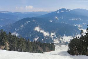 Příroda nedaleko apartmánu