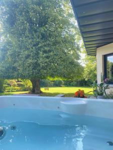 a swimming pool with a tree in the background at Villa Confiturerie in Braives