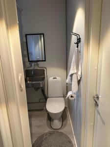 a small bathroom with a toilet and a television at Elves Cabin Wagon in Rovaniemi +21 photos
