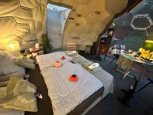 Jídlo v luxury tent nebo okolí