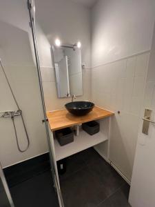 une salle de bain avec un lavabo et un miroir dans l'établissement Studio Silver Oaks, à La Grande Motte