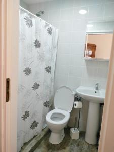 a bathroom with a toilet and a sink at Casa Sforii Brasov in Braşov +31 photos