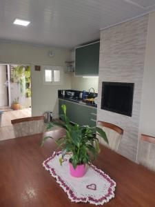 a potted plant sitting on a table in a kitchen at Casa verão 2025 in Tramandaí