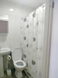a bathroom with a toilet and a shower curtain at Casa Sforii Brasov in Braşov