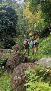 入住Mountain View Homestay的客人