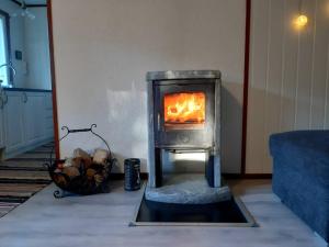 Gallery image of Koselig blått hus - utsikt Losna in Tretten