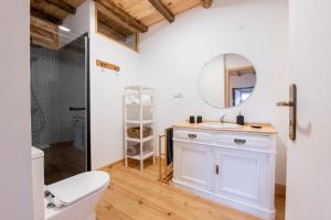 un bagno con un lavandino bianco e uno specchio di Quinta da Maria Mendes a Serpins