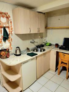 una cocina con fregadero y encimera en District 24, en Tiflis