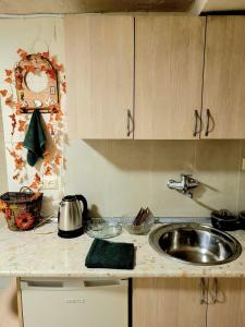 una cocina con fregadero y encimera en District 24, en Tiflis