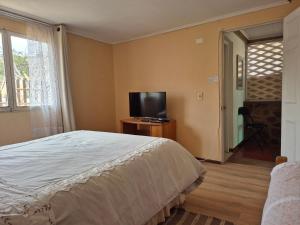 Postel nebo postele na pokoji v ubytování Hostal Los Almendros