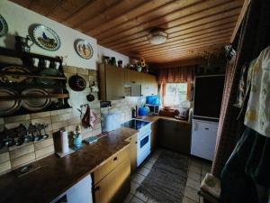 a kitchen with white appliances and a wooden ceiling at Chalet Hüttentraum by Globalimmoservice in Bad Kleinkirchheim +14 photos