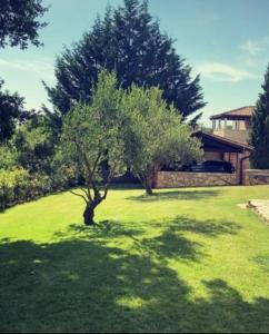 Zahrada ubytování Villa Barbarella