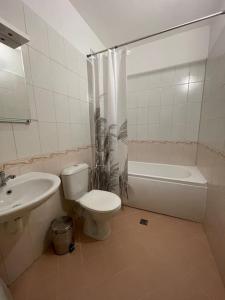 un bagno con un water, un lavandino e una vasca di South Mountain Apartment a Razlog Altre 14 foto