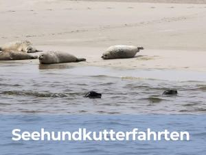 Loodusmaastik puhkemaja lähedal