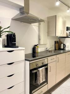 Dapur atau dapur kecil di Cozy studio apartment at Tomasjord