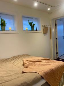 Gallery image of Cozy studio apartment at Tomasjord in Tromsø