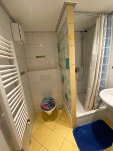 Un pequeño baño con inodoro y ducha. en Hudolin-Vermietungen, en Gundelsheim