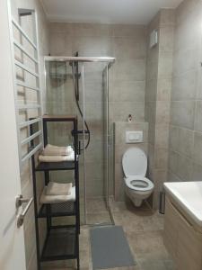 Ванна кімната в Apartman Maksimović Divčibare